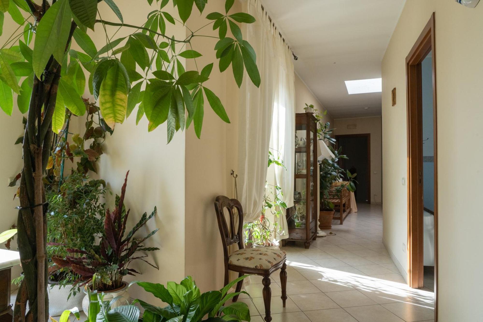 Iris Bed and breakfast